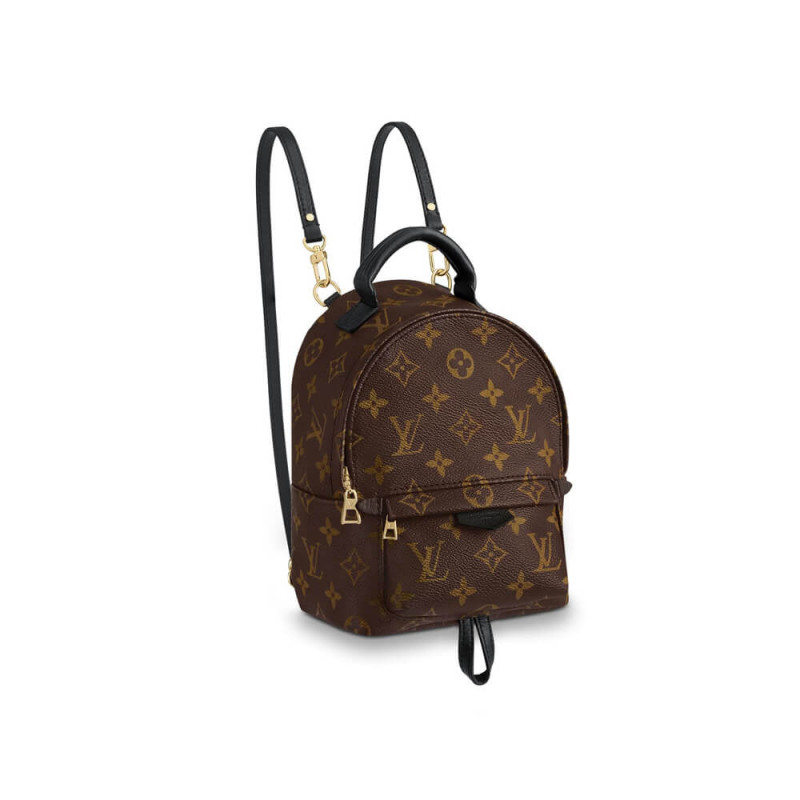 Louis Vuitton Monogram Canvas Palm Springs Backpack Mini M41562