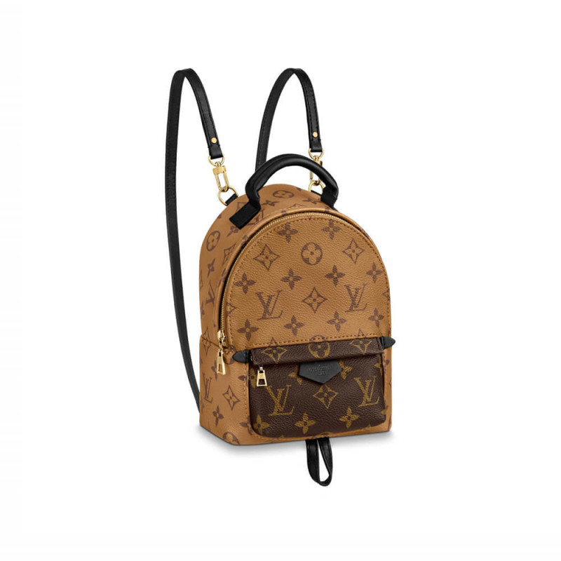 Louis Vuitton Monogram Canvas Palm Springs Backpack Mini M42411