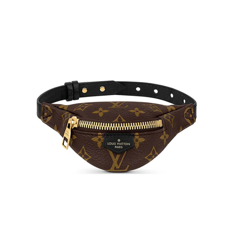 Louis Vuitton Party Bumbag Bracelet M43648