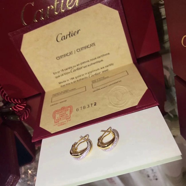 Cartier Earring CSJ90536246