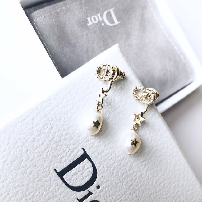 Dior Earring CSJ45342332