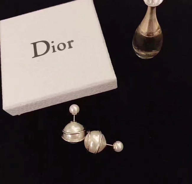 Dior Earring CSJ33141252