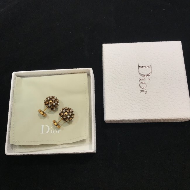 Dior Earring CSJ44443245