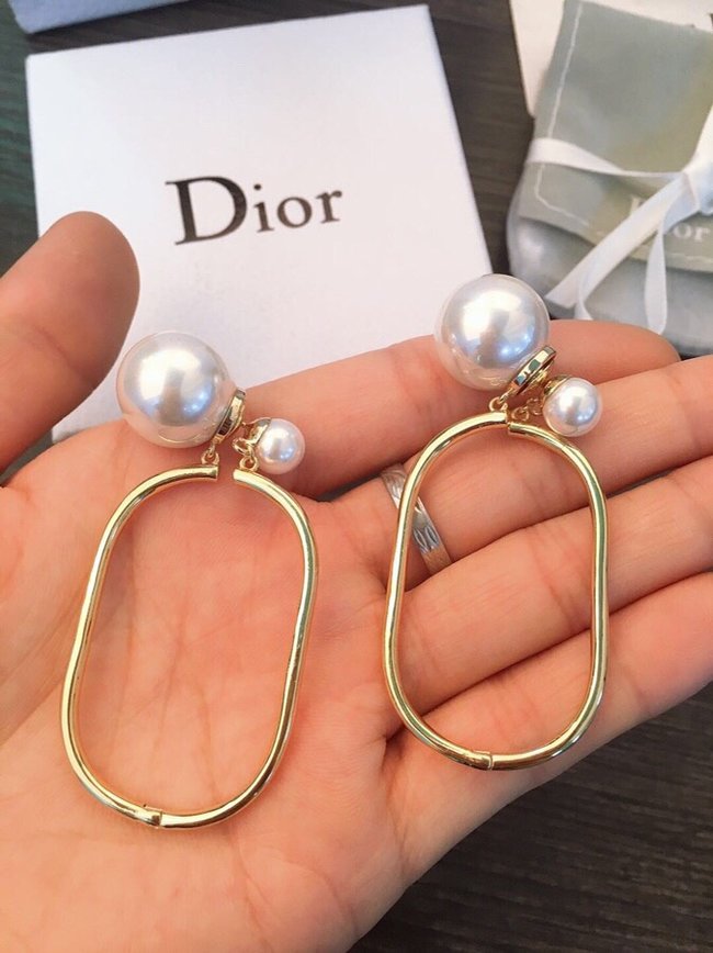 Dior Earring CSJ40001398