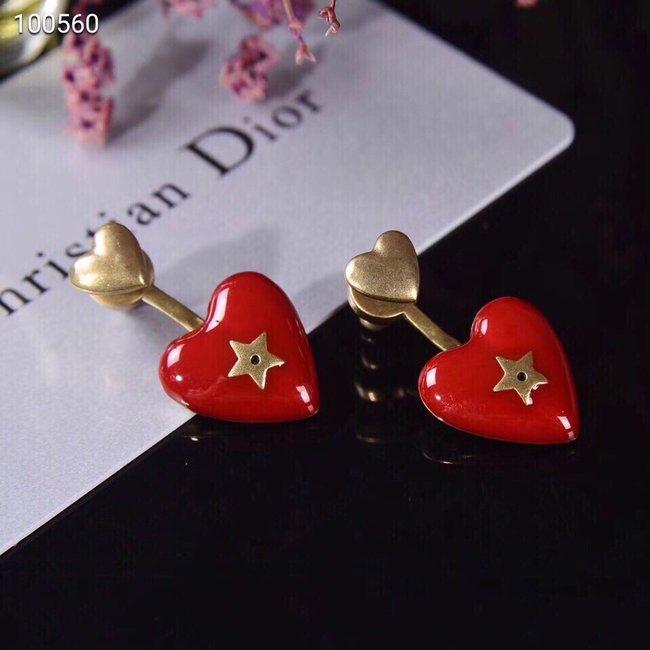 Dior Earring CSJ32343413