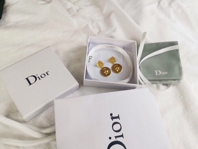 Dior Earring CSJ43135155