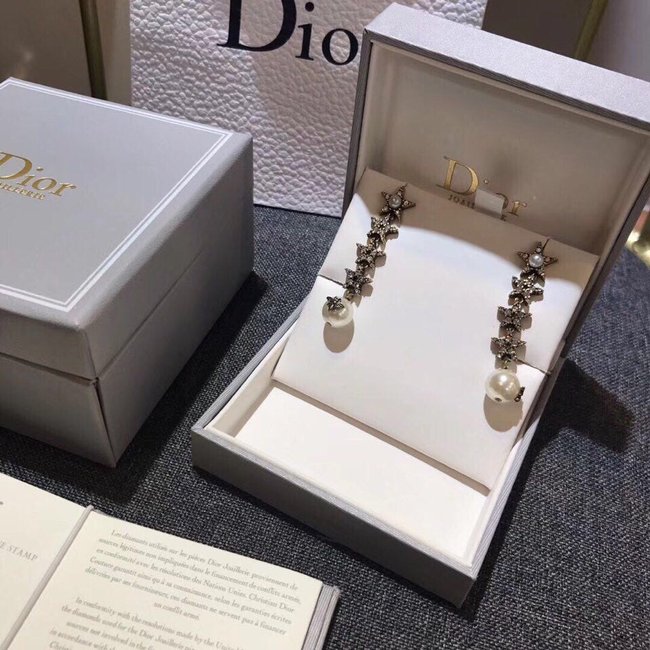 Dior Earring CSJ10001724