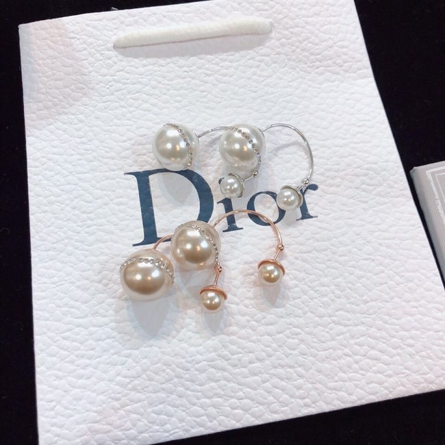 Dior Earring CSJ40001905