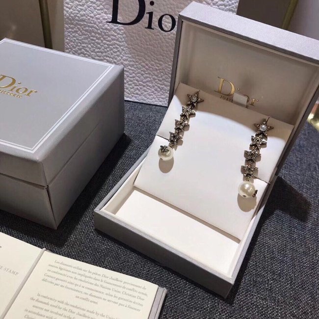 Dior Earring CSJ11241321