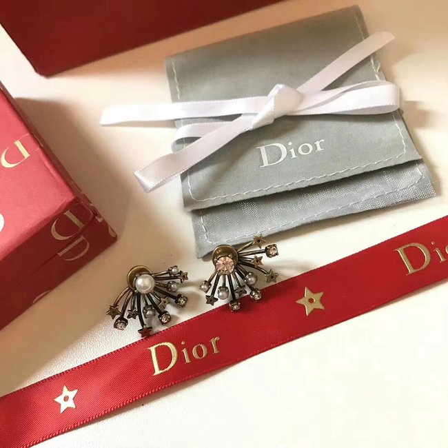 Dior Earring CSJ44244411