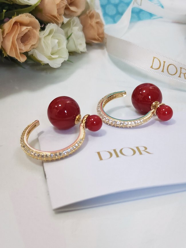 Dior Earring CSJ32212441