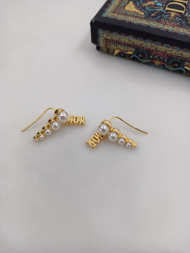 Dior Earring CSJ32215154