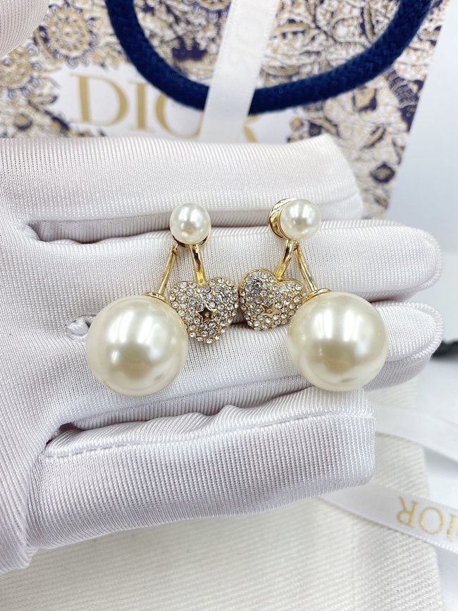 Dior Earring CSJ31222141