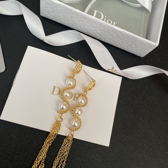 Dior Earring CSJ34313312