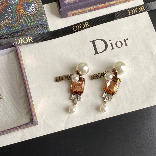 Dior Earring CSJ24454441