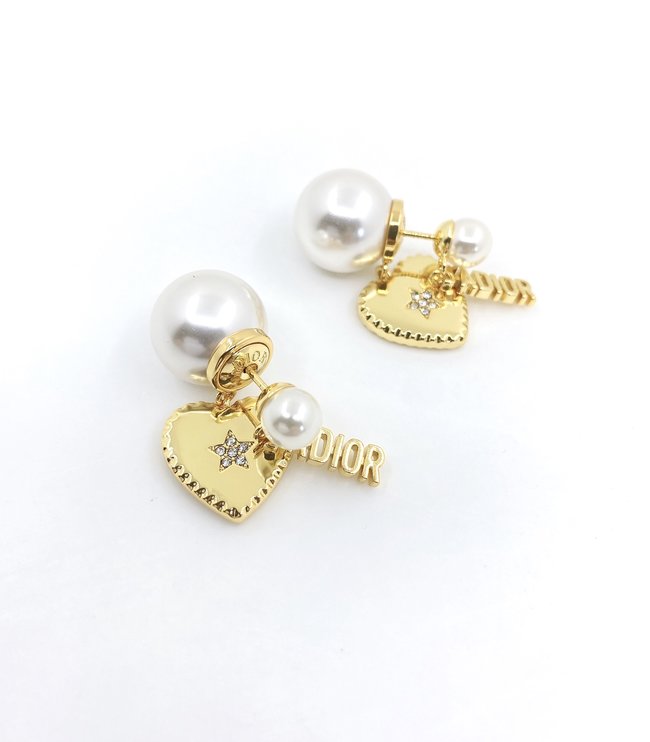 Dior Earring CSJ21255552