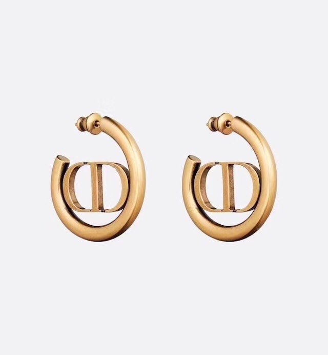 Dior Earring CSJ24135325