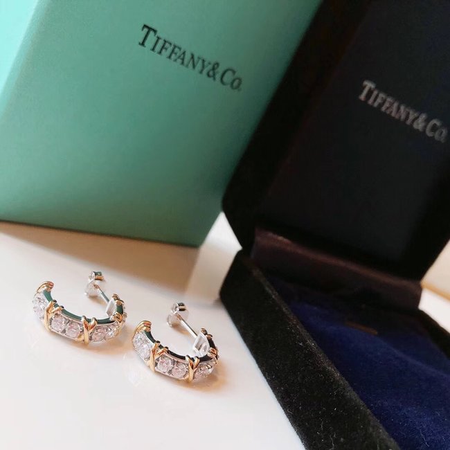 Tiffany Earring CSJ53555123
