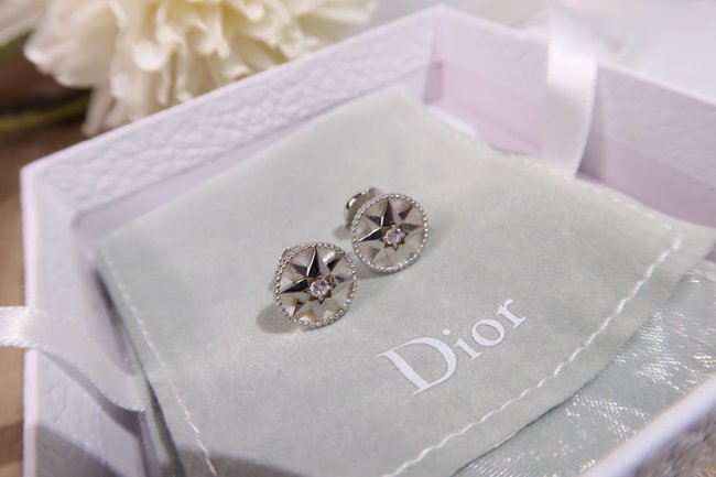 Dior Earring CSJ60001450