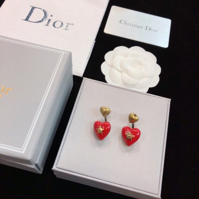 Dior Earring CSJ24534424