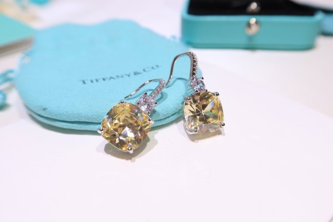 Tiffany & Co. Earring CSJ40001924