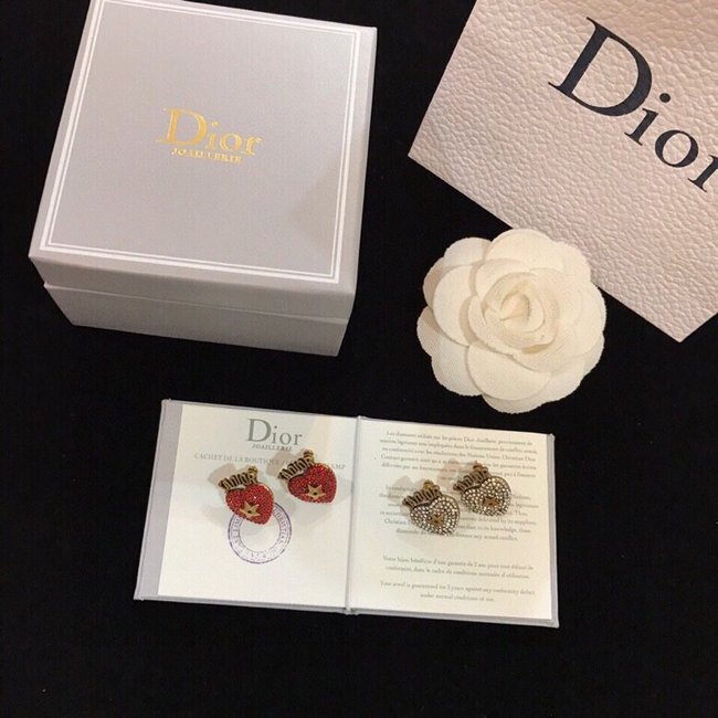 Dior Earring CSJ21432332