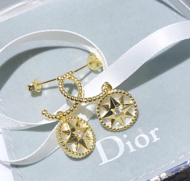 Dior Earring CSJ00565308