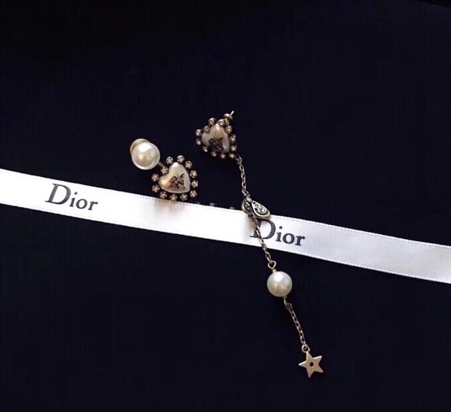 Dior Earring CSJ35122233