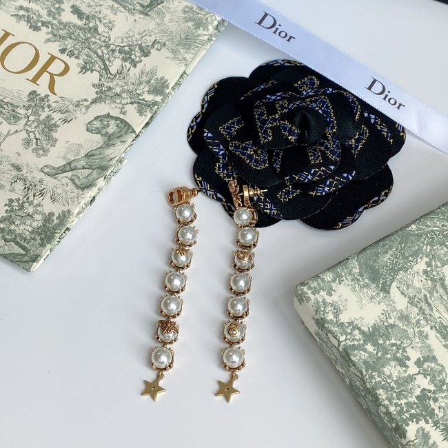 Dior Earring CSJ90001476