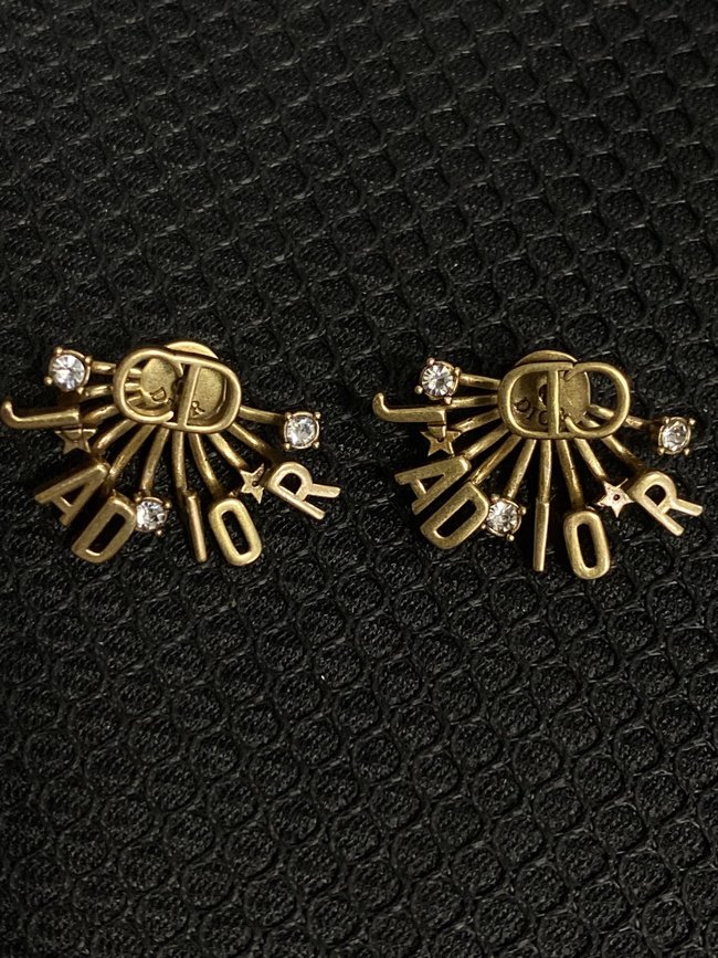 Dior Earring CSJ30522911