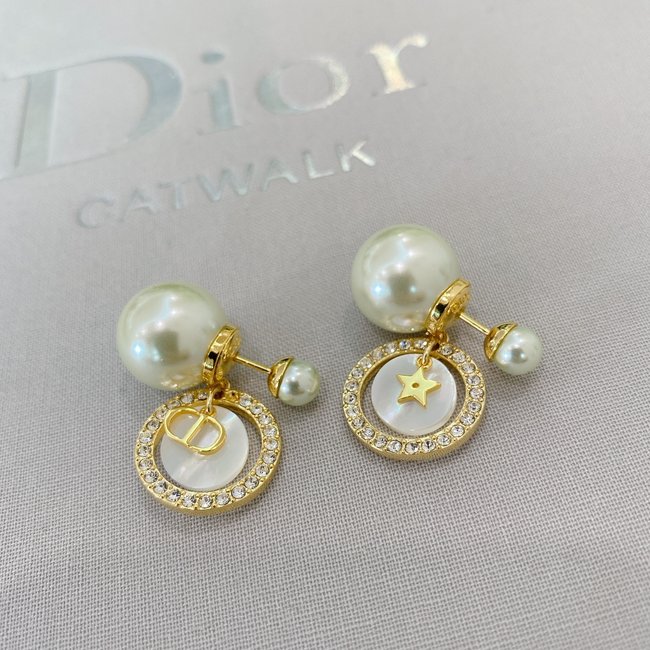 Dior Earring CSJ30002993