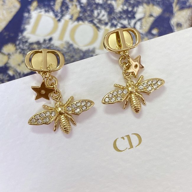 Dior Earring CSJ30001594