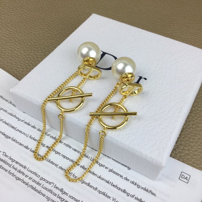 Dior Earring CSJ00001843