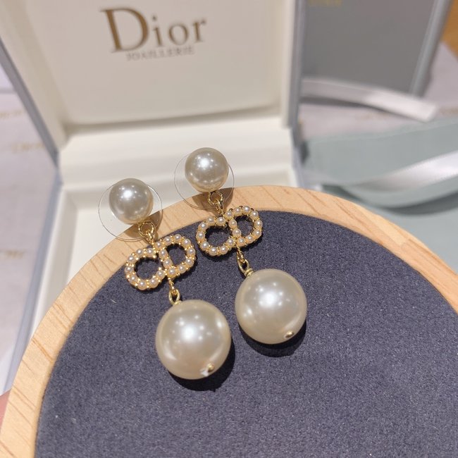 Dior Earring CSJ00534057