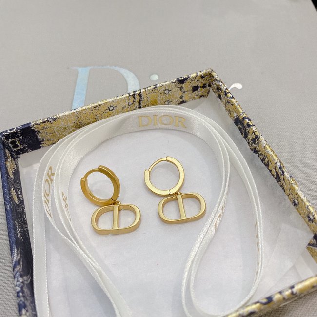 Dior Earring CSJ20531553