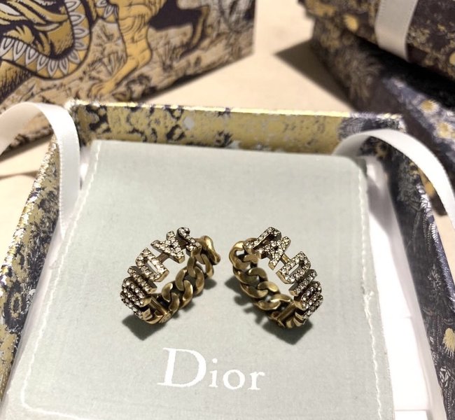 Dior Earring CSJ10541255