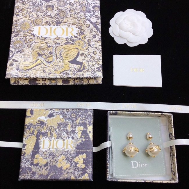 Dior Earring CSJ25541225