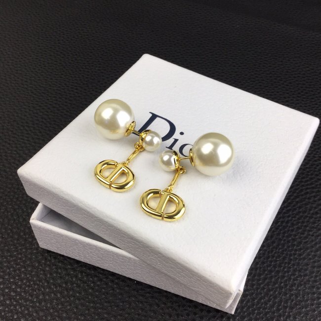 Dior Earring CSJ12333134