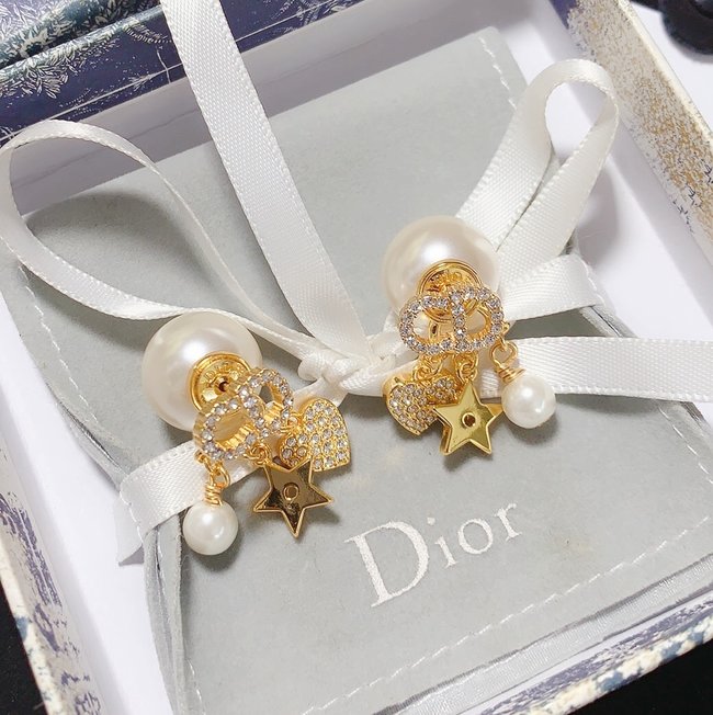 Dior Earring CSJ70002969