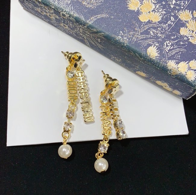 Dior Earring CSJ30001391