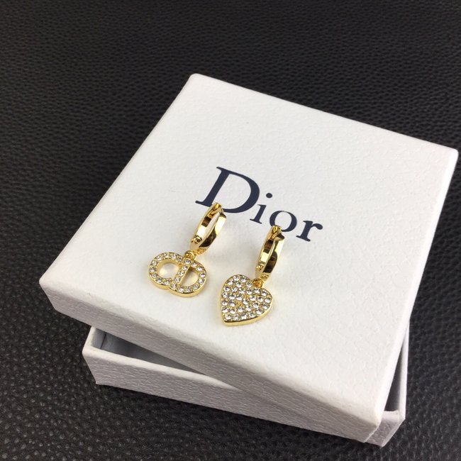 Dior Earring CSJ10001947