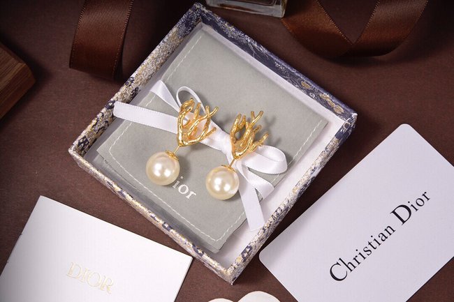 Dior Earring CSJ10001877