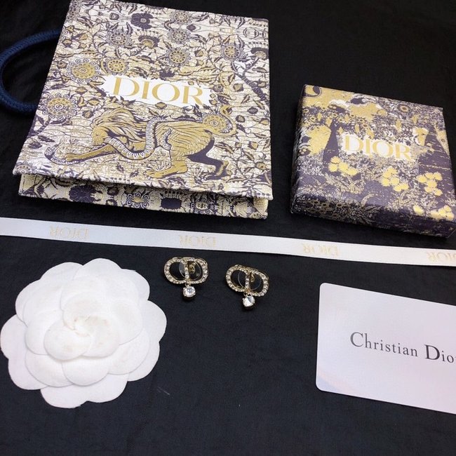 Dior Earring CSJ10001476