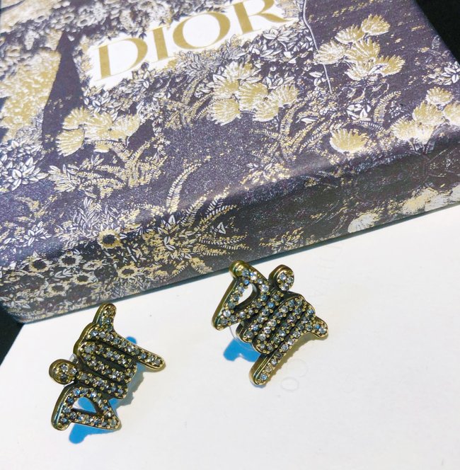 Dior Earring CSJ80599672