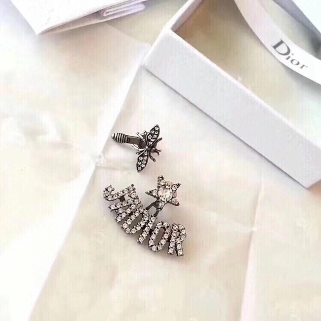 Dior Earring CSJ32324421