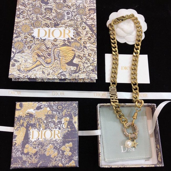 Dior Necklace CSJ70001340