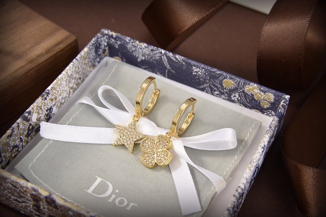 Dior Earring CSJ00520997