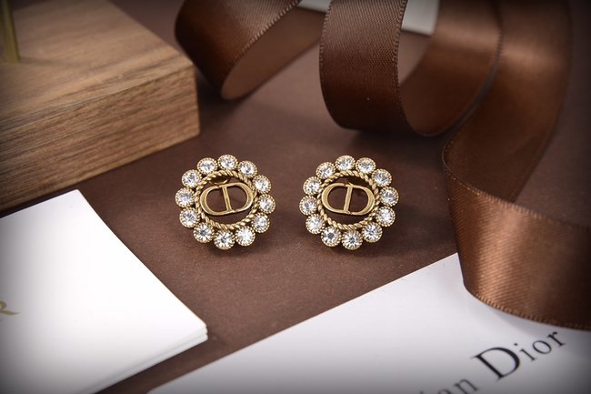 Dior Earring CSJ60585736