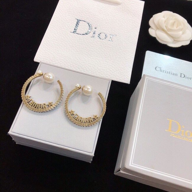 Dior Earring CSJ20547420