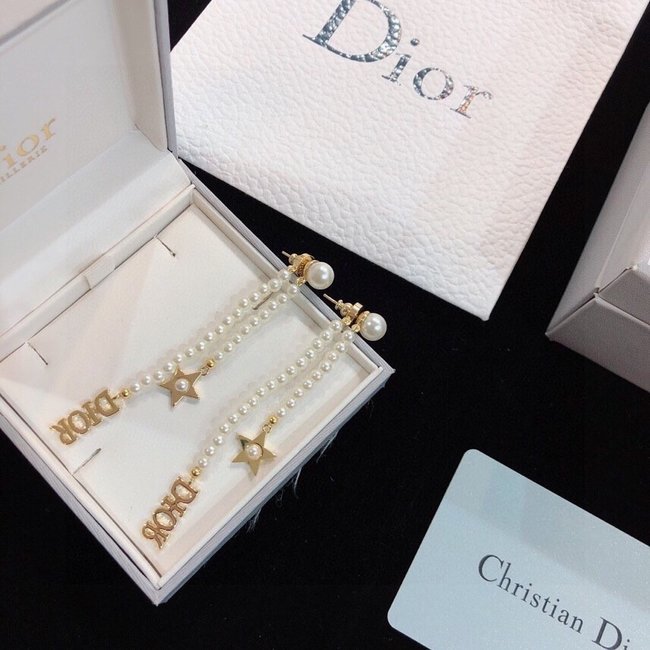 Dior Earring CSJ80548244